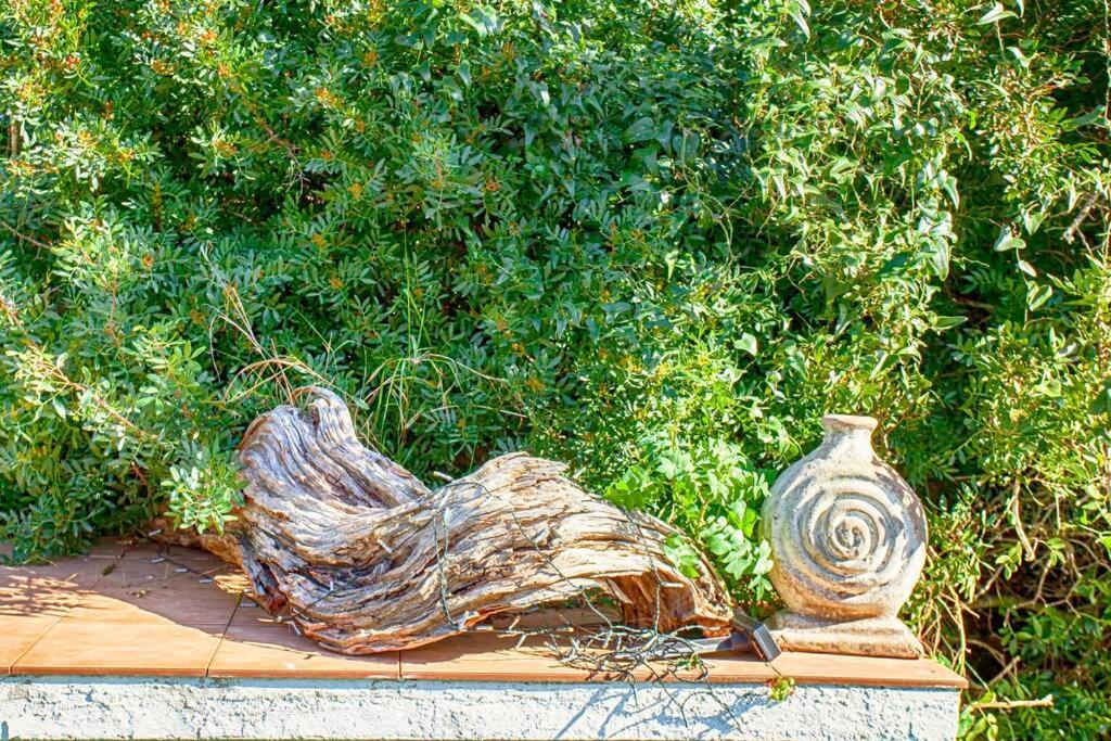 Villa Cecylia エス・カヌテルス エクステリア 写真