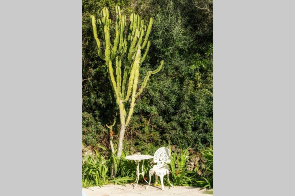 Villa Cecylia エス・カヌテルス エクステリア 写真
