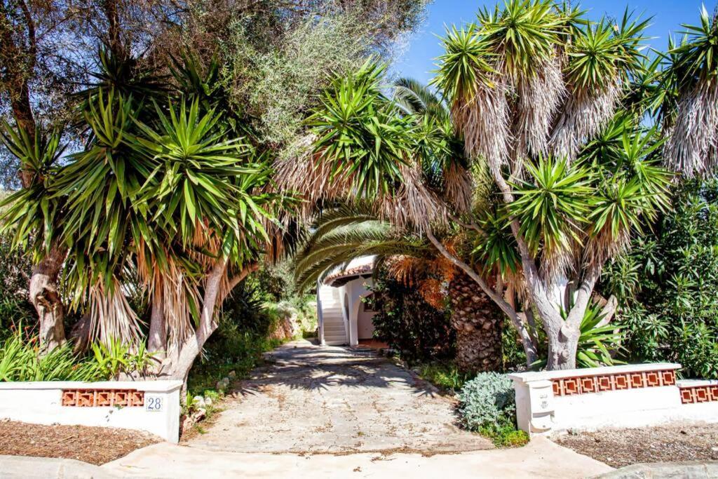 Villa Cecylia エス・カヌテルス エクステリア 写真
